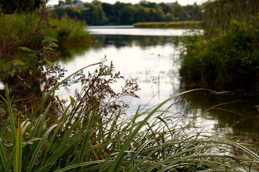promenad brunnsviken