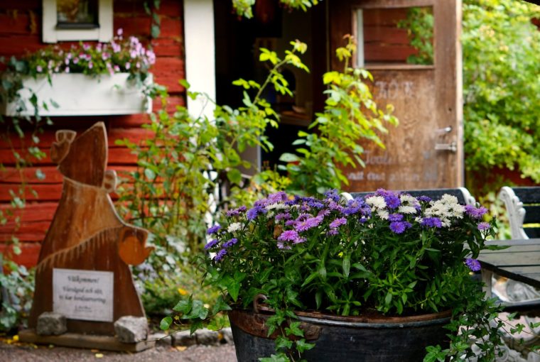 Tant brun café trädgård