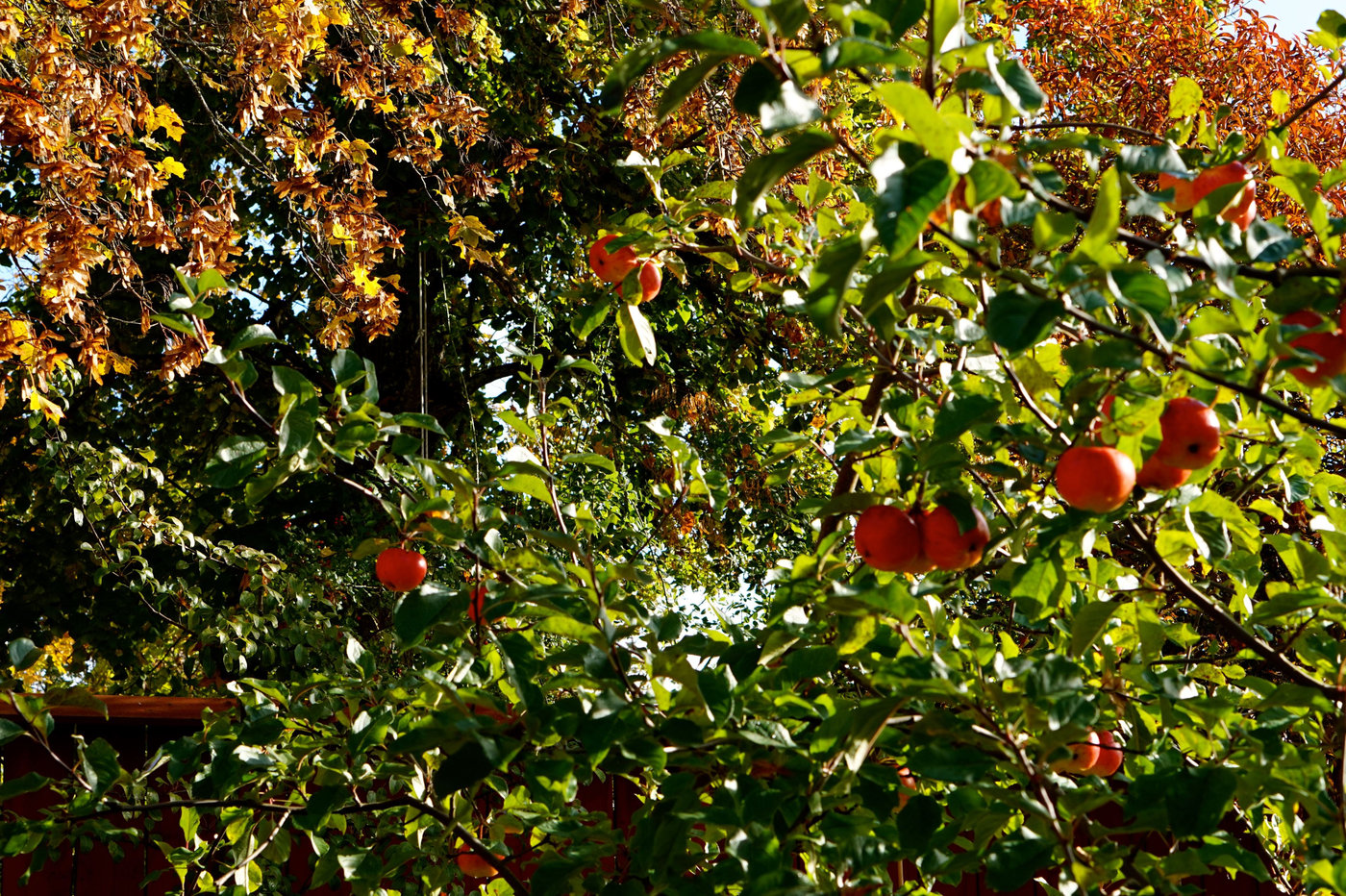 appelfabriken 2