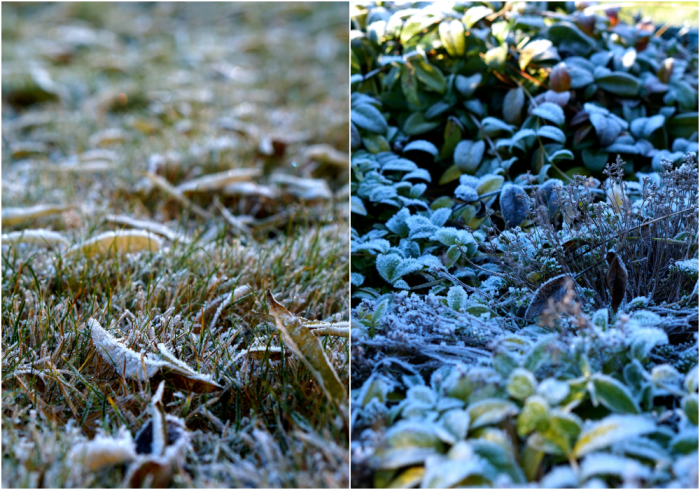frost 2