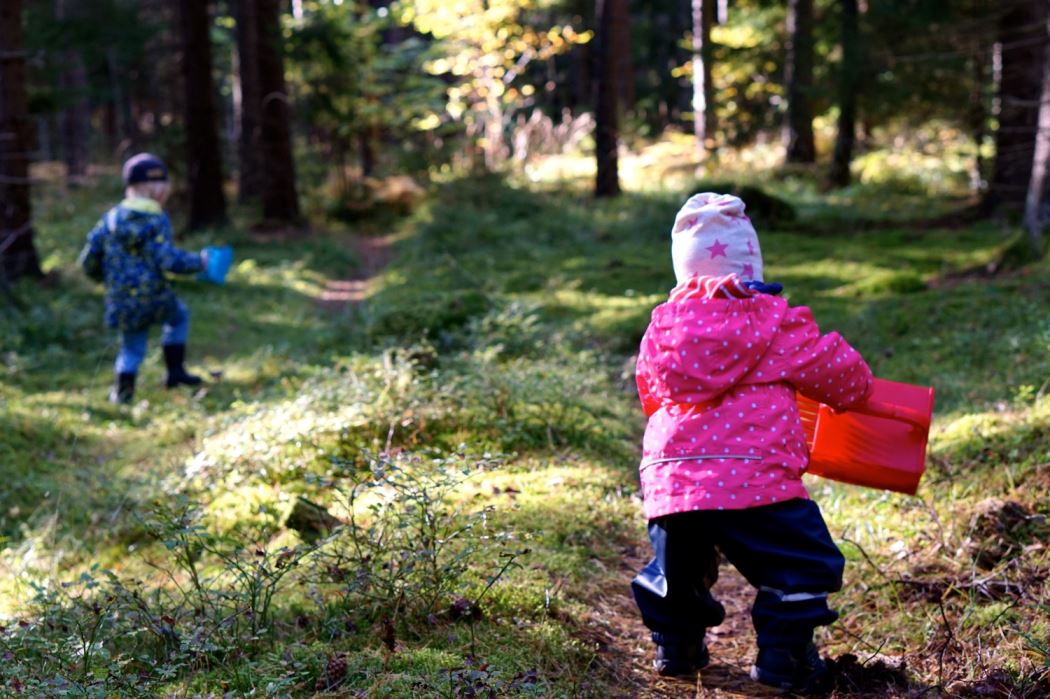 Barnen i skogen 4