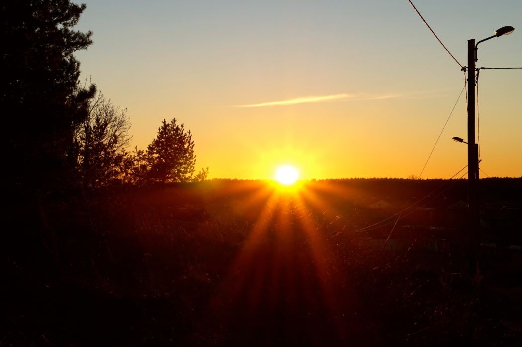 solen