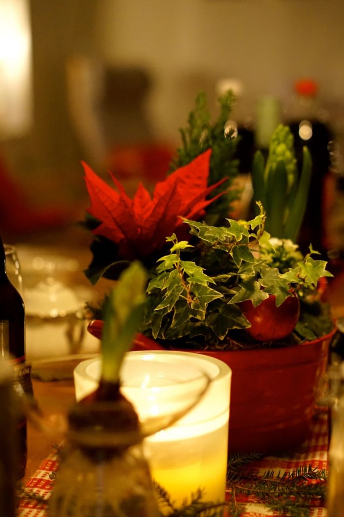 julblomma julafton 2015