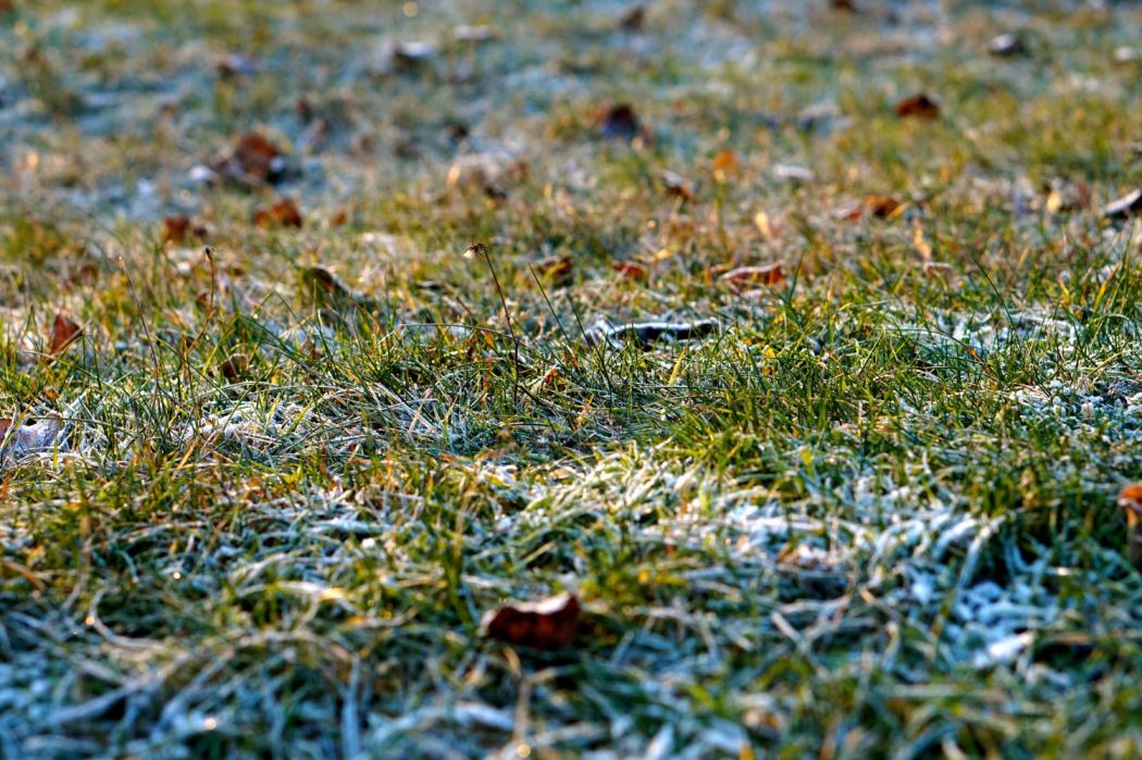 frost