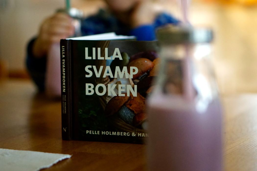 svampboken