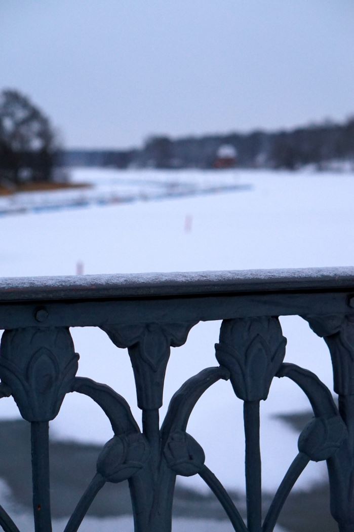 promenad en vintermorgon