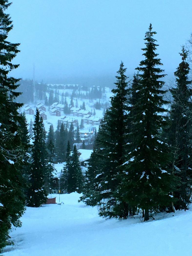 sanka prestationskraven