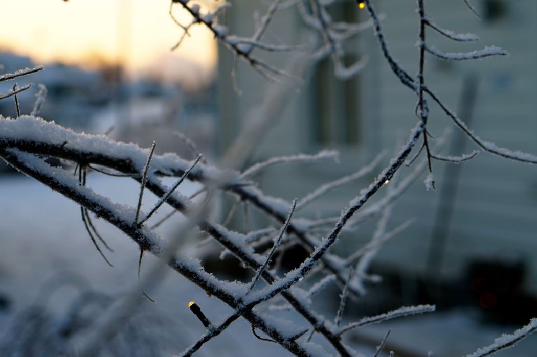 Trettondagen