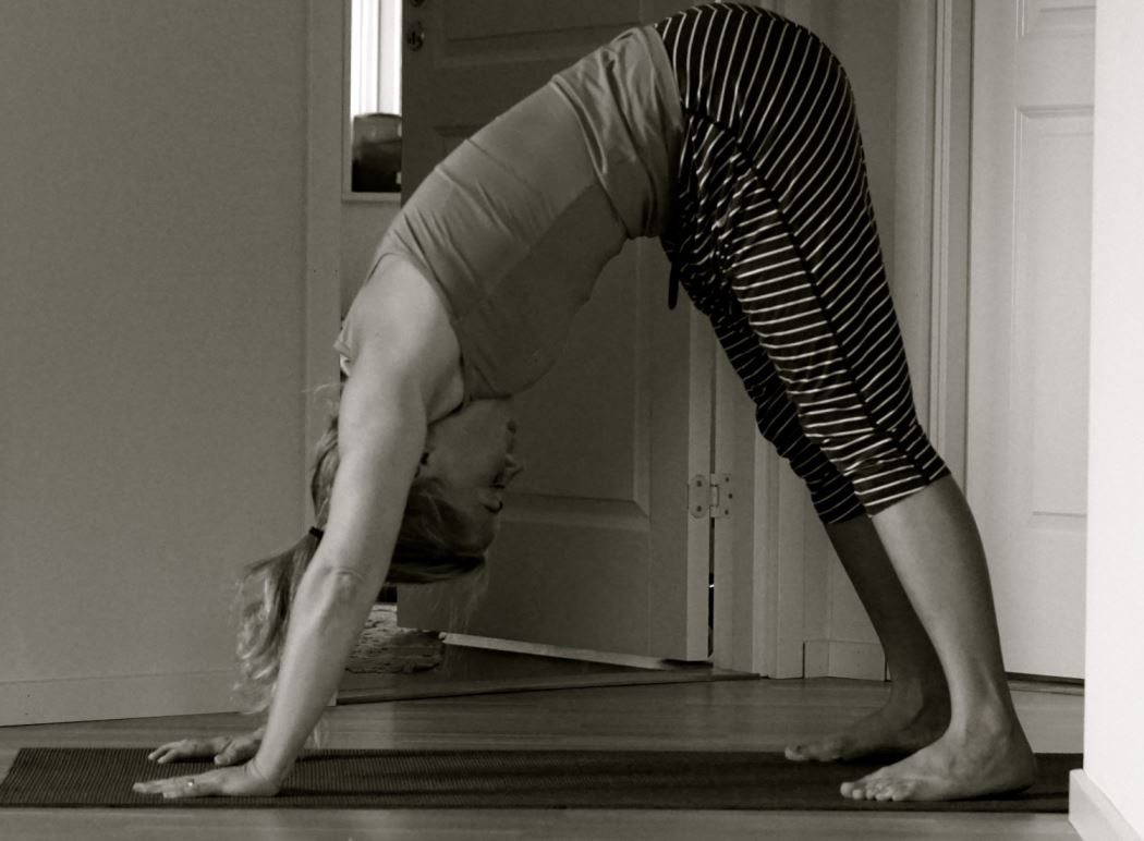 hunden yoga