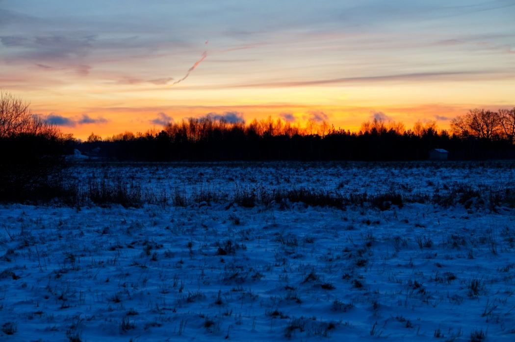 transportlopning i kyla