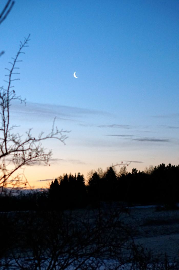 morgonpromenad