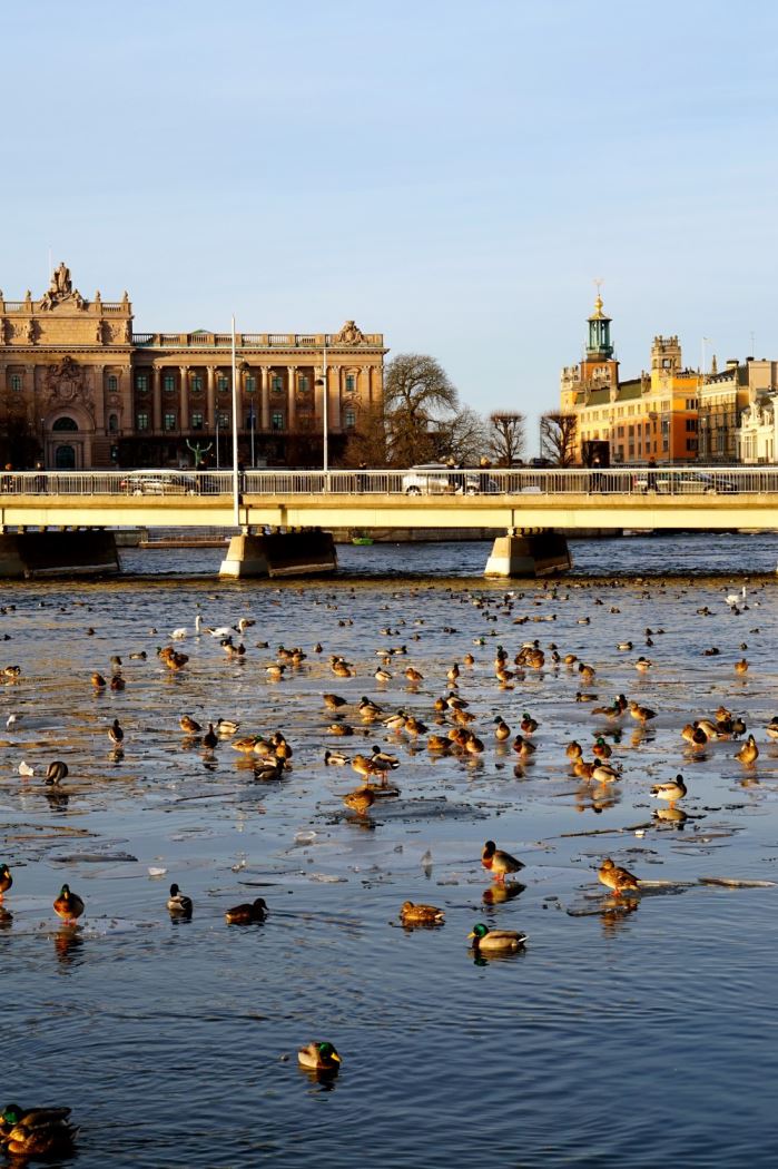 Promenad Stockholm
