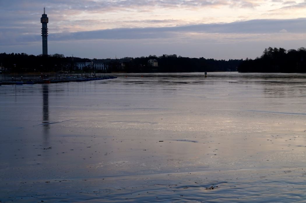 Jogg lopning Djurgarden