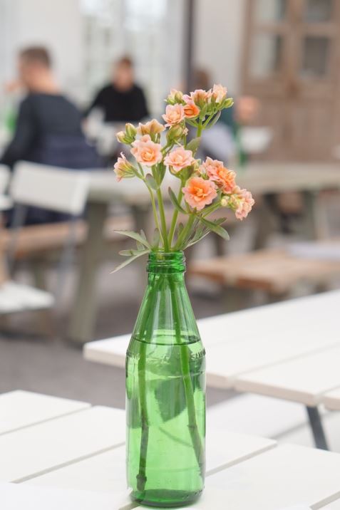 Bergianska Tradgarden