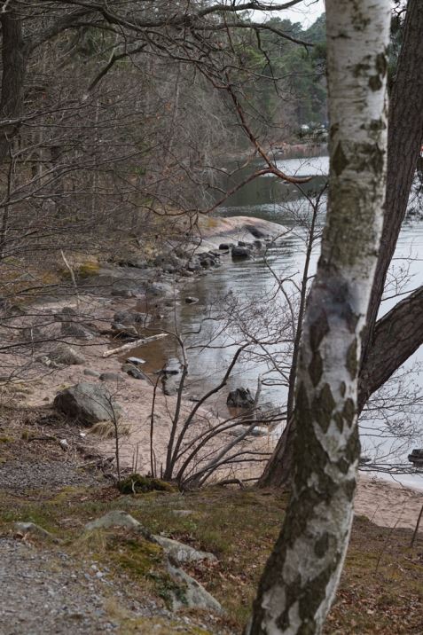 Bergianska Tradgarden