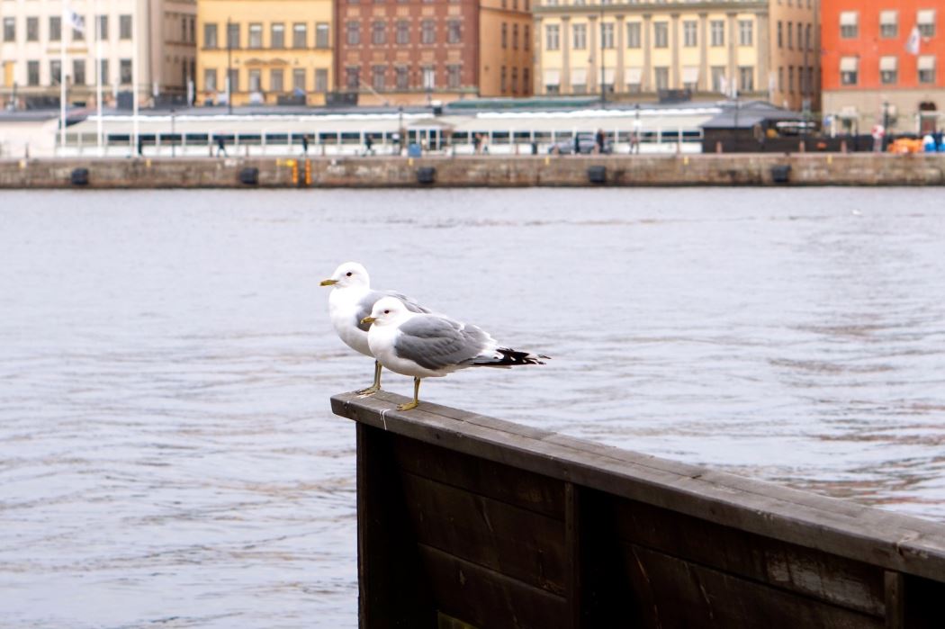 Skeppsholmen Kastellholmen