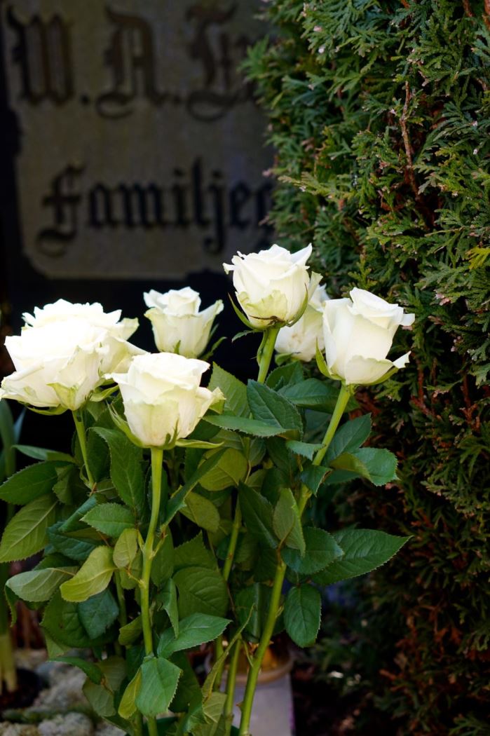 Helgen i bilder rosor