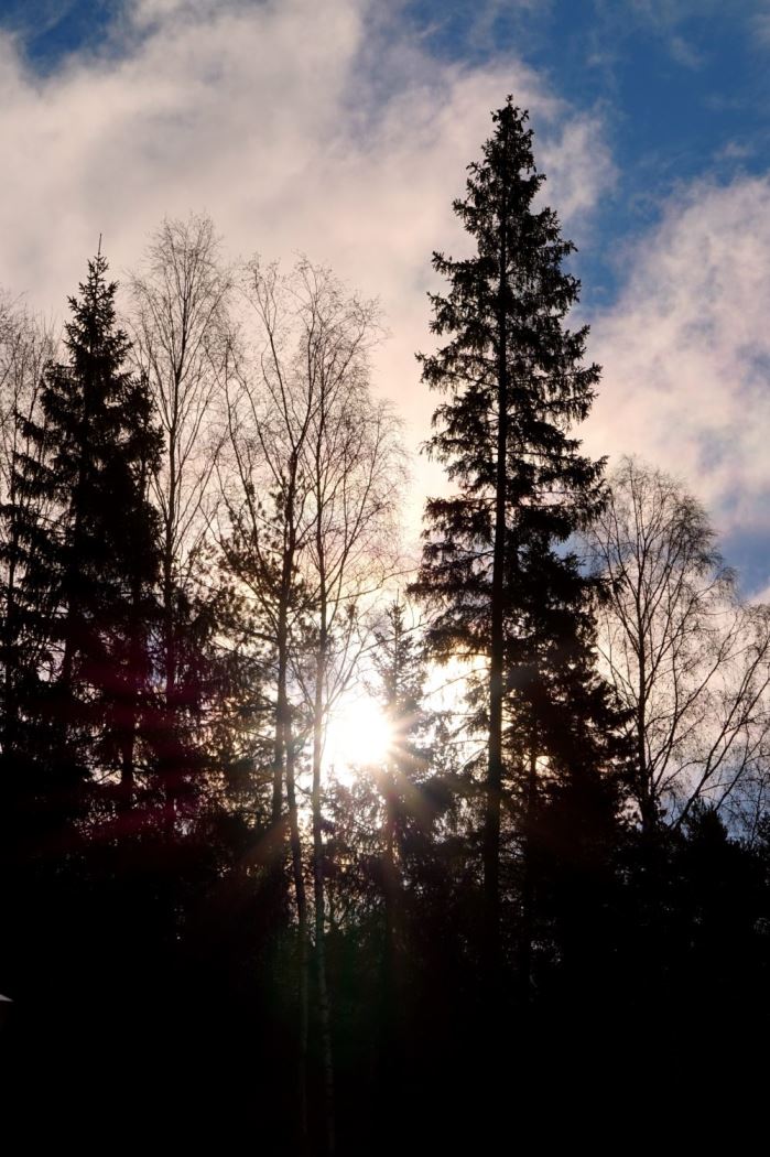 morgonstund