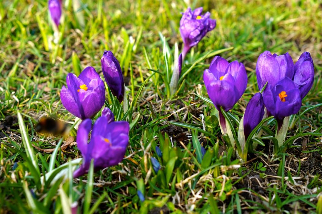 Vasaparken promenad