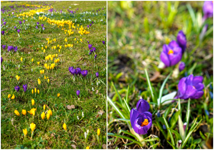 Vasaparken promenad