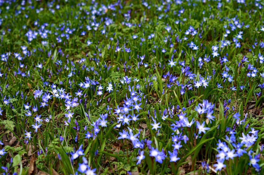 powerwalk-promenad-vasaparken-2