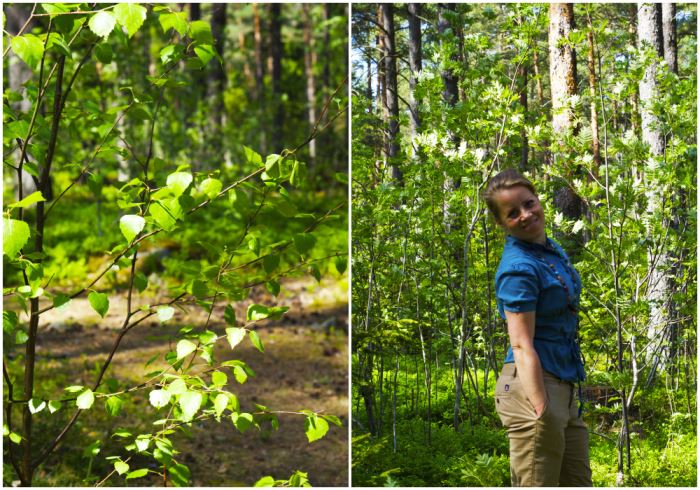 barnens-skog-karin-2