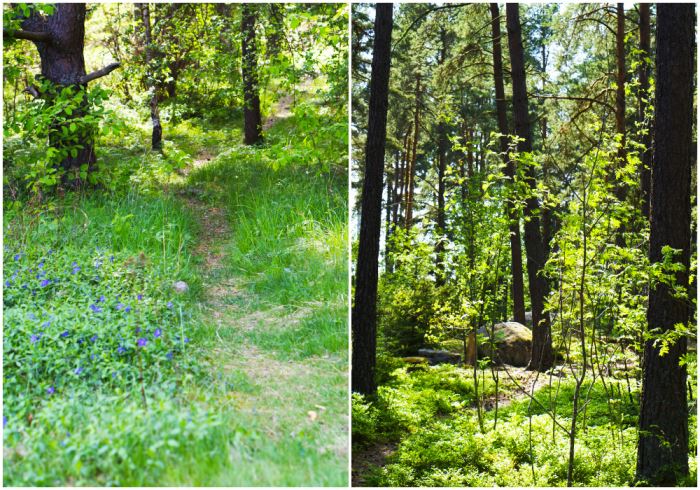 barnens-skog-stig