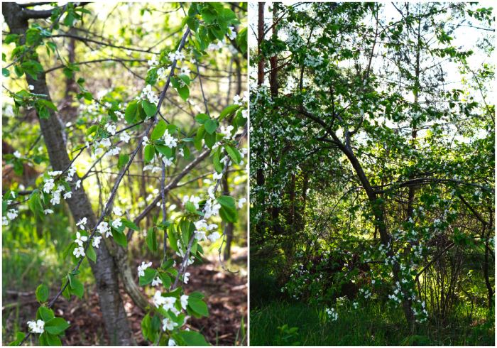 borta-bra-men-hemma-bast-2