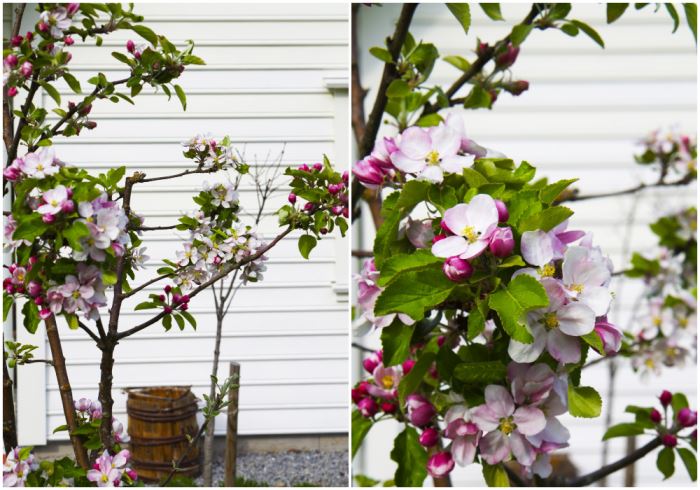 medan-jag-var-sjuk-1