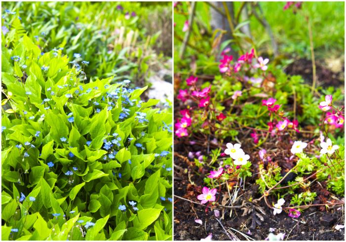 medan-jag-var-sjuk-3