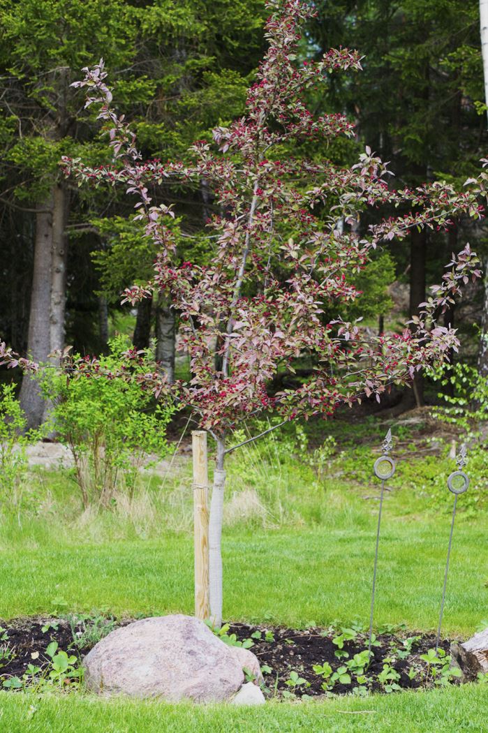 medan-jag-var-sjuk-4