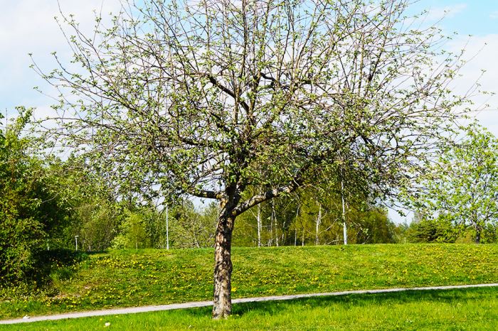 strategi-malsattning-5