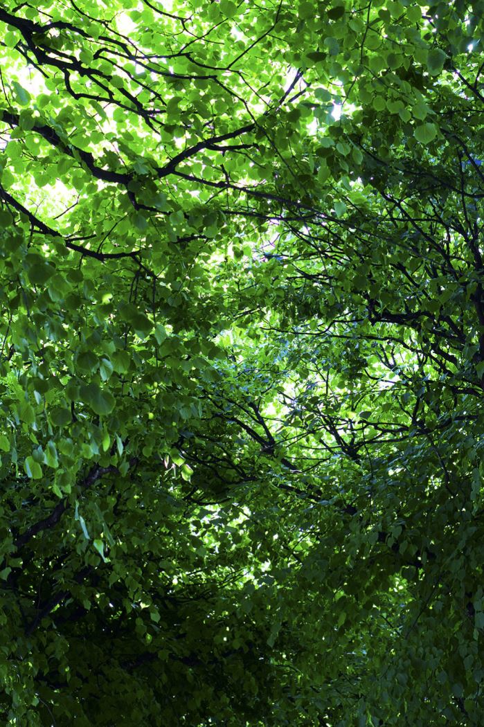 21-dagars-utmaningen-2