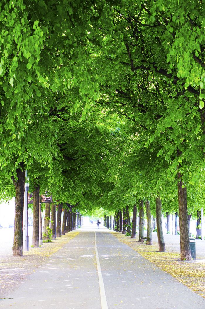 21-dagars-utmaningen-3