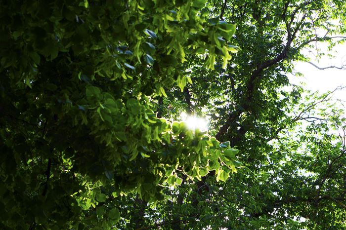 21-dagars-utmaningen-4