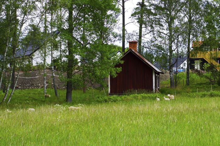 lordagens-promenad-farhage