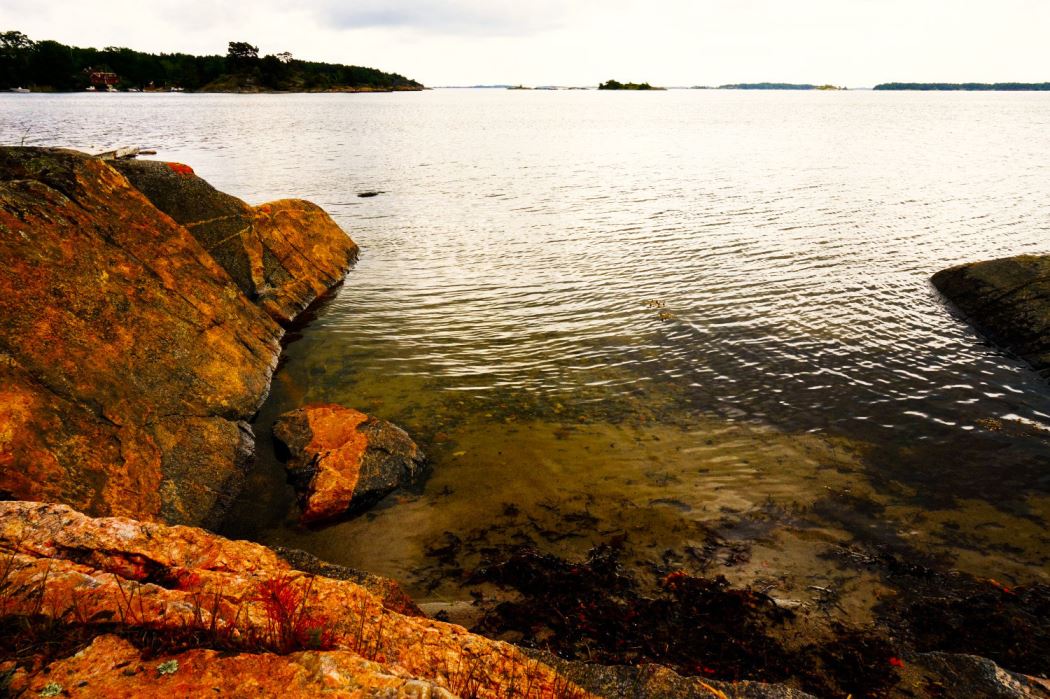 midsommarafton-2016-2