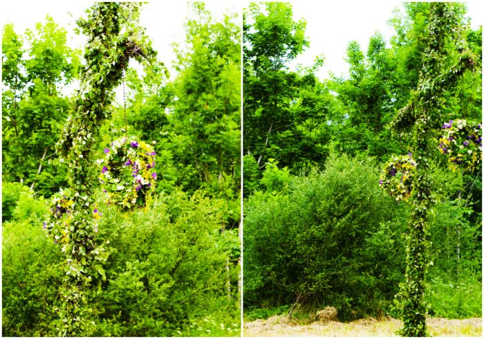 midsommarafton-2016-midsommarstang