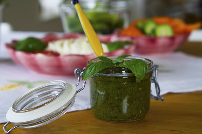 odla-basilika-pesto