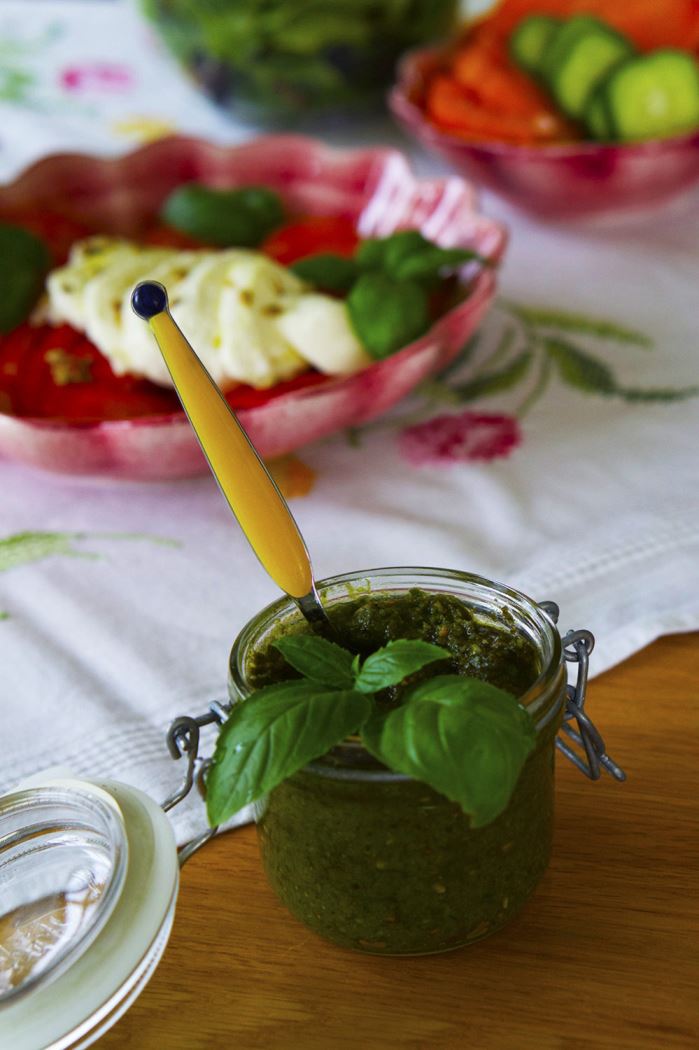 odla-basilika-pesto-2