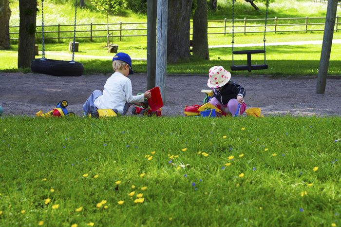 typisk-svensk-sommar