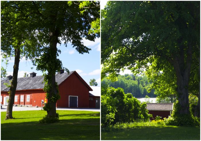 typisk-sverige-sommar