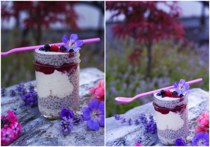 chia-trifle-4