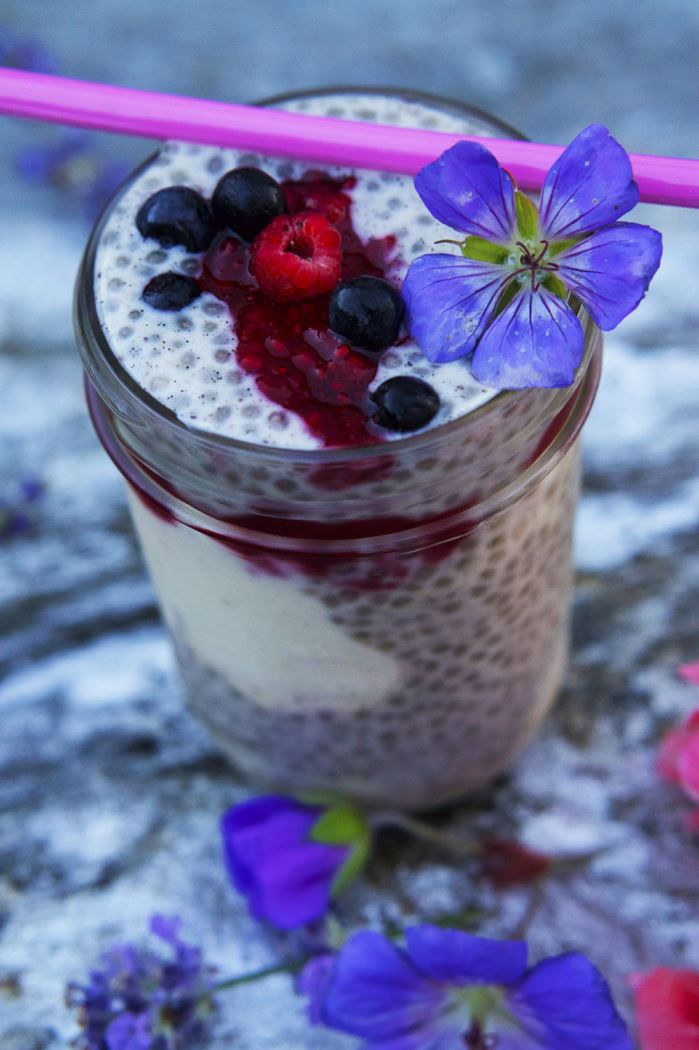 chia-trifle-6