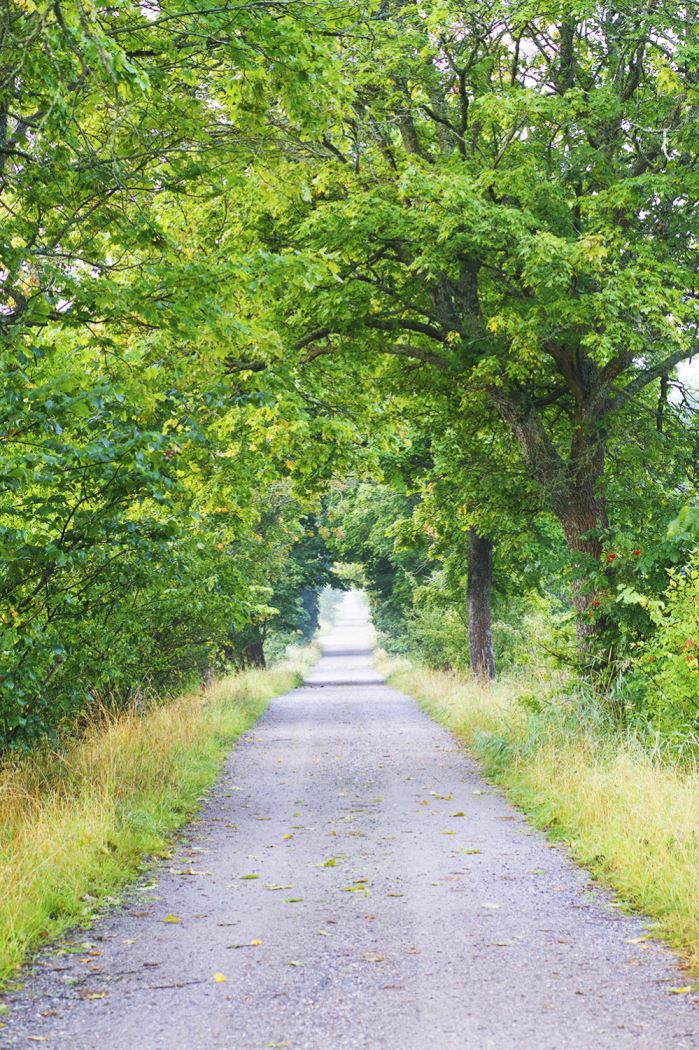 morgonmagi-promenad-12