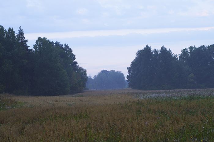morgonmagi-promenad-5