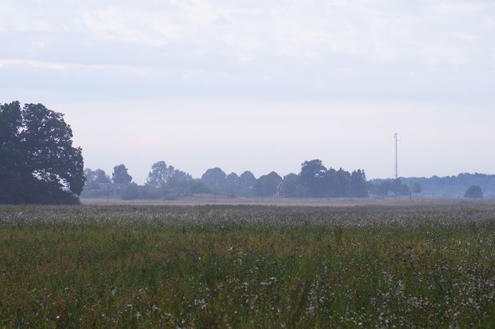 morgonmagi-promenad-6
