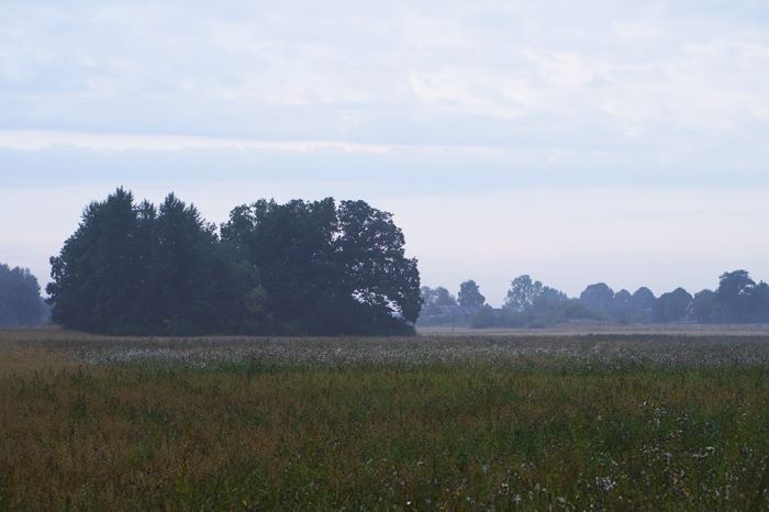morgonmagi-promenad-7