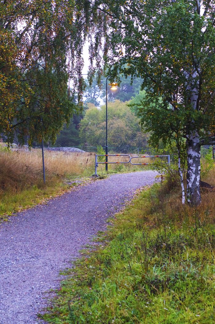 morgonmagi-promenad-8