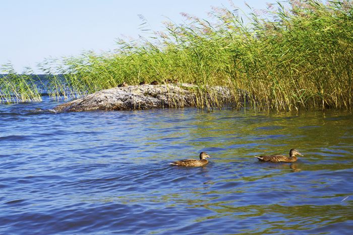 semestertips-nara-stockholm-5